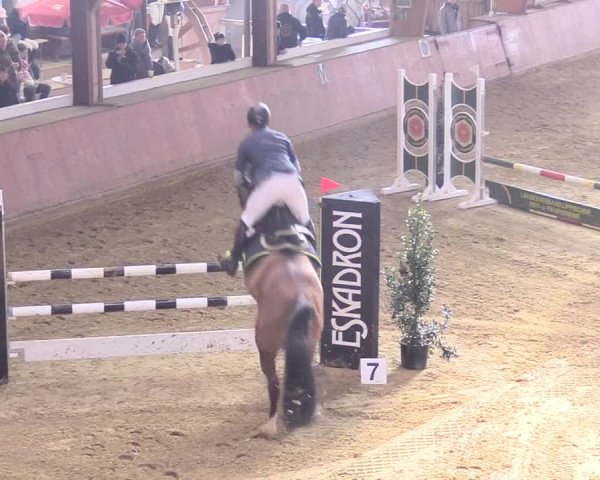 Reitturnier Bad Salzuflen 2018