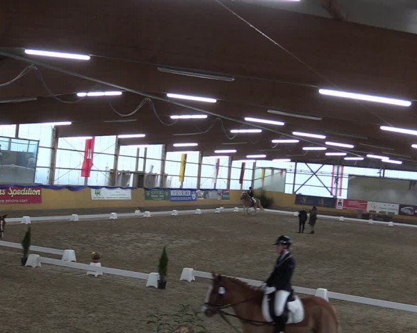 Reitturnier Pausin 2018