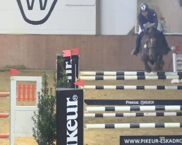 Reitturnier Bad Salzuflen 2018