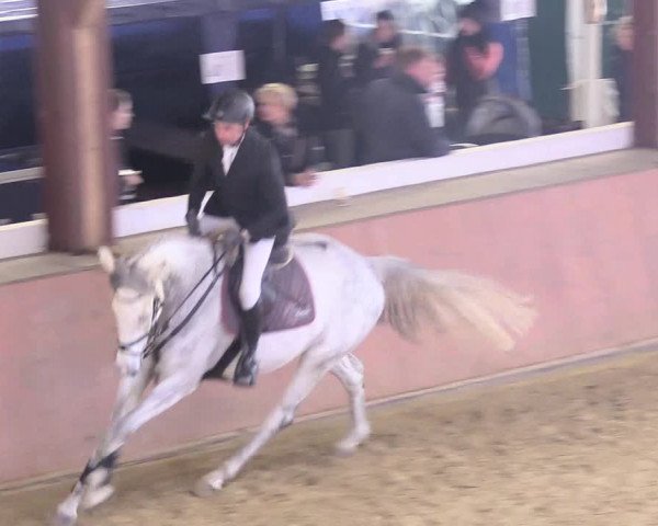 Reitturnier Bad Salzuflen 2018
