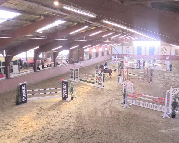 Reitturnier Bad Salzuflen 2018