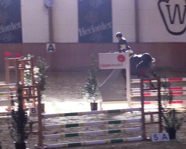 Reitturnier Bad Salzuflen 2018