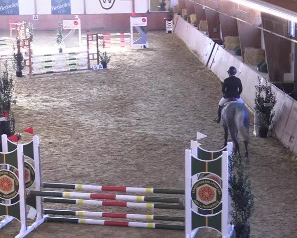 Reitturnier Bad Salzuflen 2018