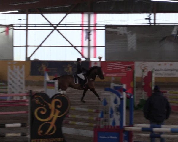 Reitturnier Pausin 2018
