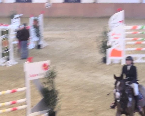 Reitturnier Bad Salzuflen 2018
