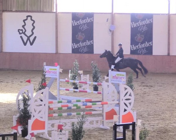 Reitturnier Bad Salzuflen 2018