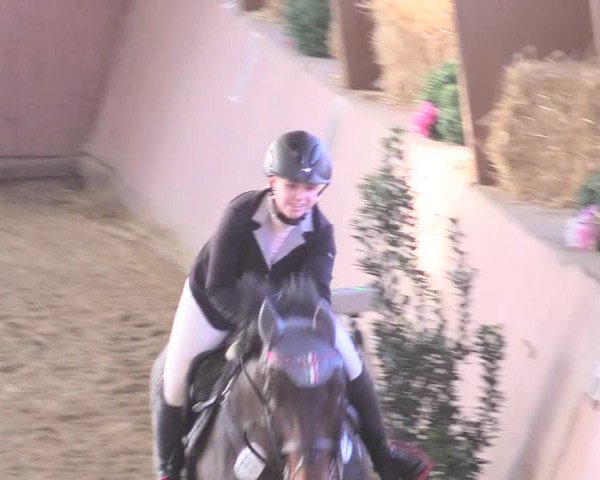 Reitturnier Bad Salzuflen 2018
