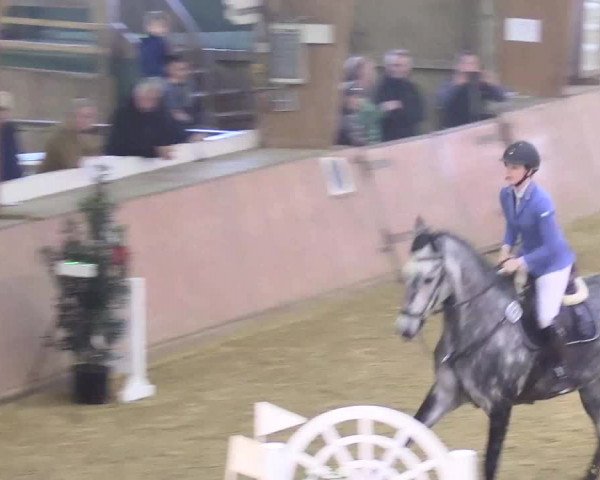 Reitturnier Bad Salzuflen 2018