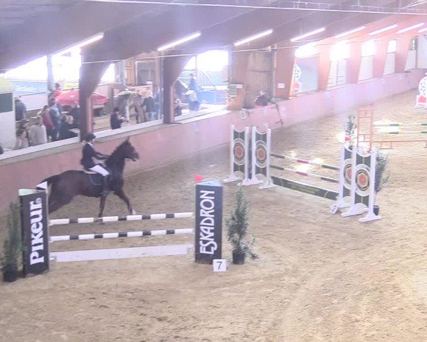 Reitturnier Bad Salzuflen 2018
