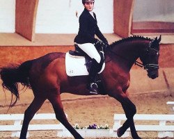 dressage horse Duke of Harmony (Hanoverian, 2011, from Duke of Hearts xx)