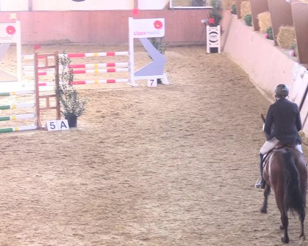 Reitturnier Bad Salzuflen 2018