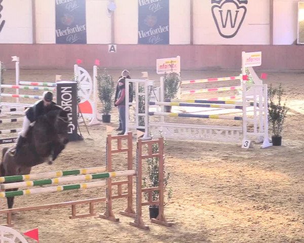 Reitturnier Bad Salzuflen 2018