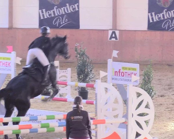 Reitturnier Bad Salzuflen 2018