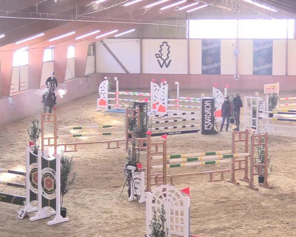 Reitturnier Bad Salzuflen 2018