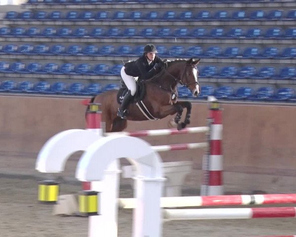 Reitturnier Prussendorf 2018