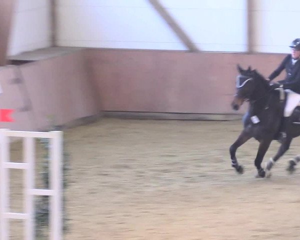 Reitturnier Bad Salzuflen 2018