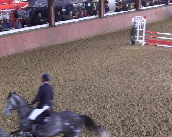 Reitturnier Bad Salzuflen 2018