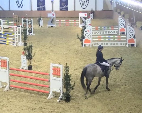 Reitturnier Bad Salzuflen 2018