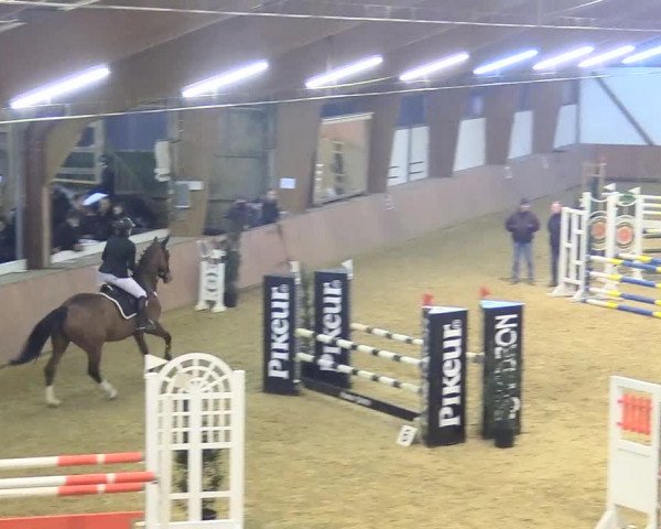 Reitturnier Bad Salzuflen 2018