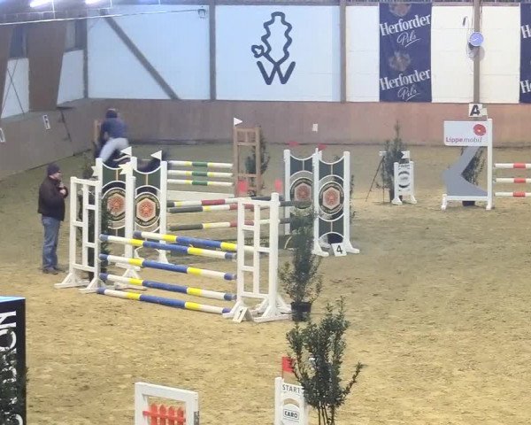 Reitturnier Bad Salzuflen 2018