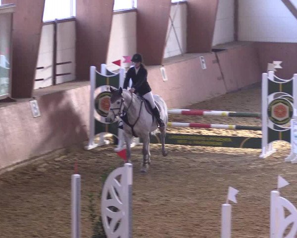 Reitturnier Bad Salzuflen 2018