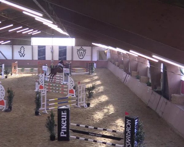 Reitturnier Bad Salzuflen 2018