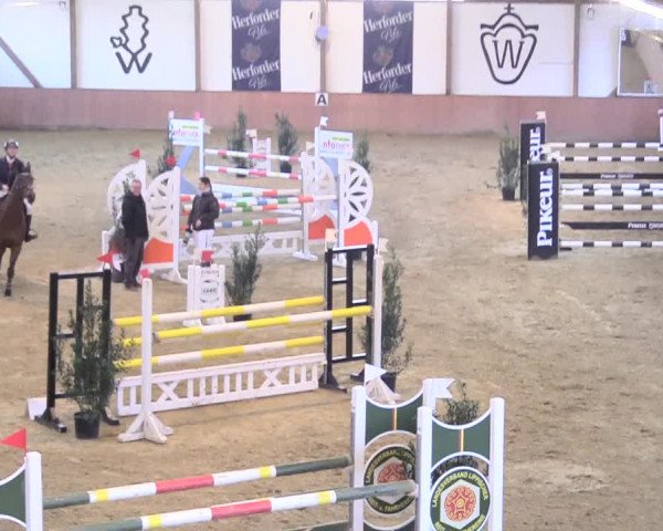 Reitturnier Bad Salzuflen 2018