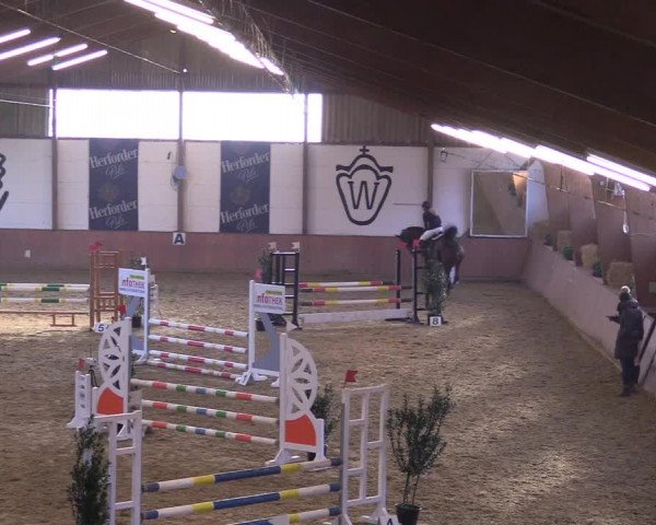 Reitturnier Bad Salzuflen 2018