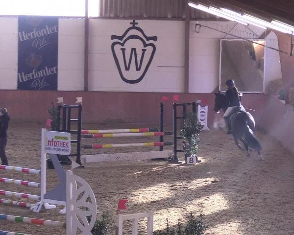Reitturnier Bad Salzuflen 2018