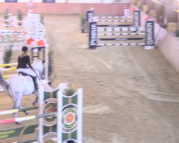 Reitturnier Bad Salzuflen 2018