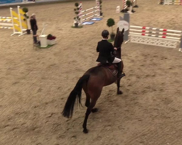 Nordic Jumping events 2018