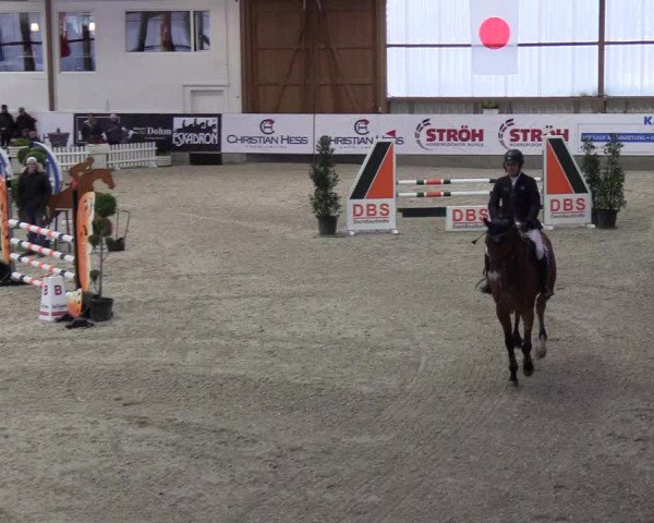 Nordic Jumping events 2018