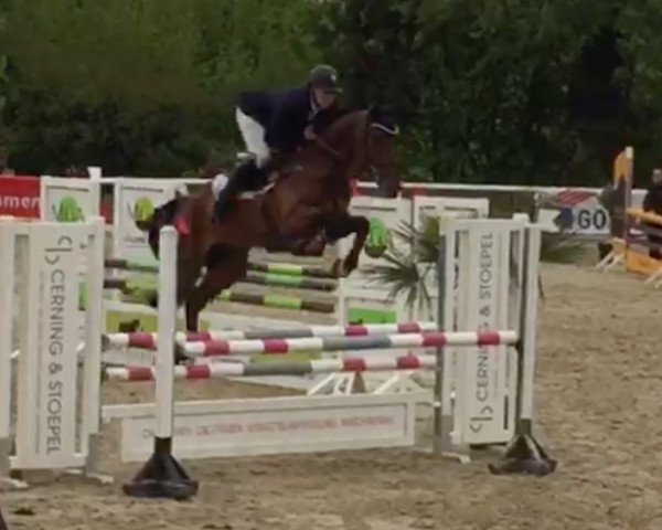 jumper Karfreitag 4 (Westphalian, 2011, from Escudo I)