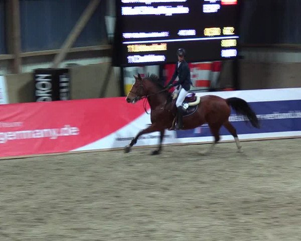 Nordic Jumping events 2018