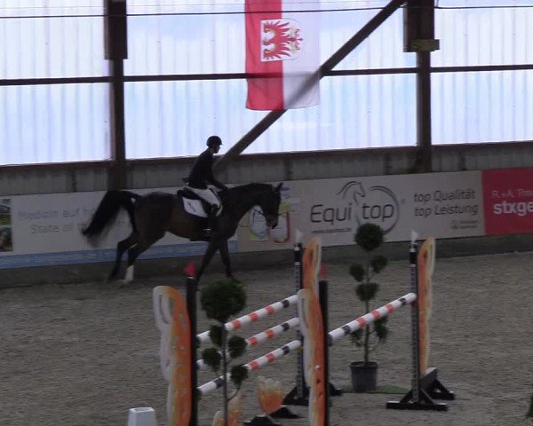 Nordic Jumping events 2018