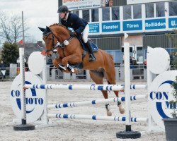 jumper Schampus Pj (Hanoverian, 2012, from Stanley)