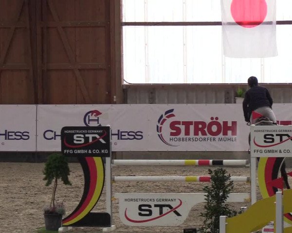 Nordic Jumping events 2018