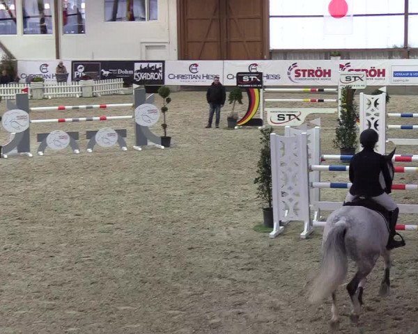 Nordic Jumping events 2018