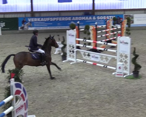 Nordic Jumping events 2018