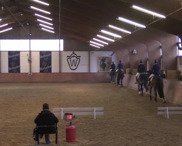 Reitturnier Bad Salzuflen 2018