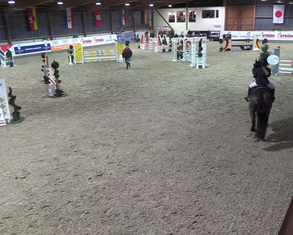 Nordic Jumping events 2018