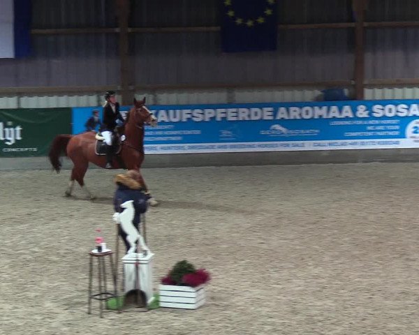 Nordic Jumping events 2018