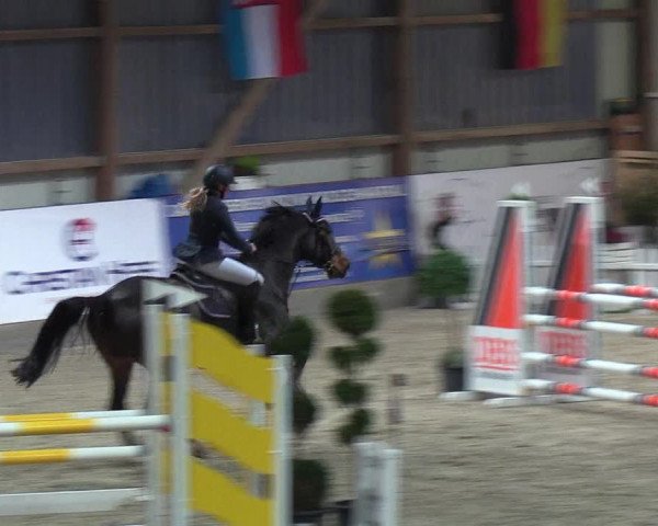 Nordic Jumping events 2018