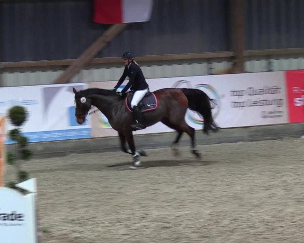 Nordic Jumping events 2018