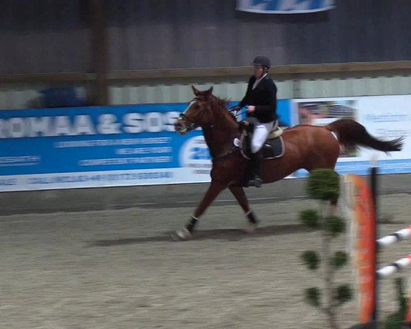 Nordic Jumping events 2018