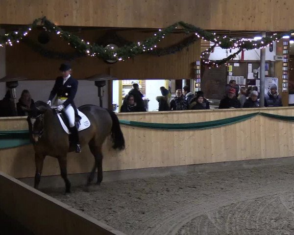 Reitturnier Leck 2018