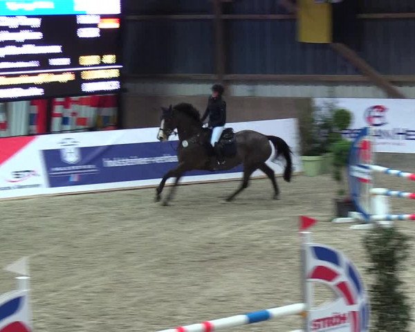 Nordic Jumping events 2018