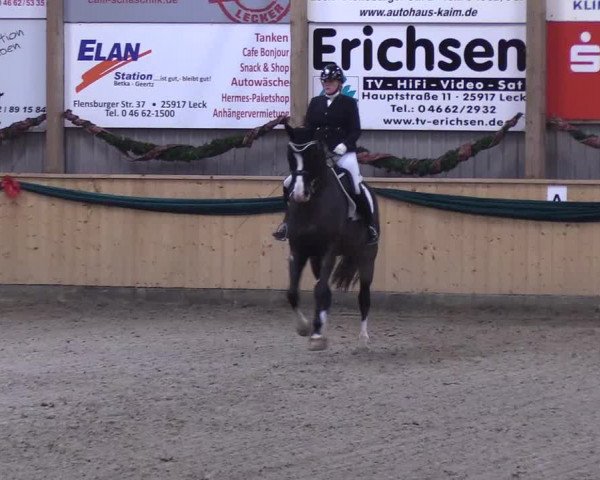 Reitturnier Leck 2018
