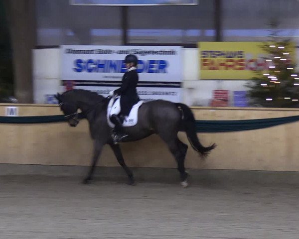 Reitturnier Leck 2018