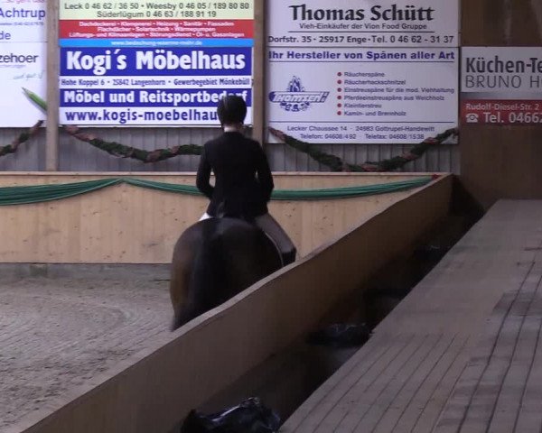 Reitturnier Leck 2018